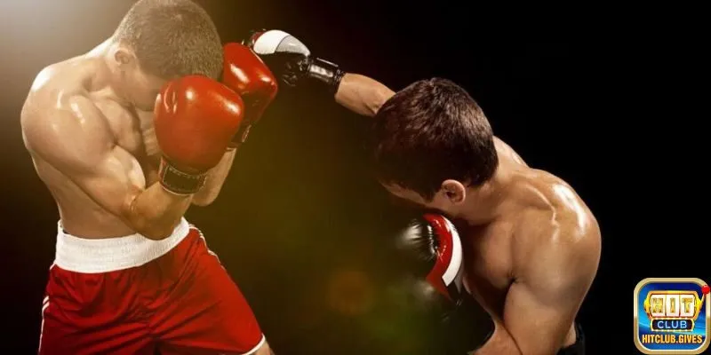 Thông tin tổng quan về kèo boxing tại Hitclub