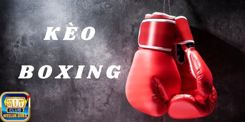 Sự thú vị của kèo Boxing