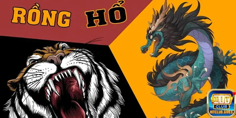 Thông tin mới nhất về Rồng Hổ Livestream