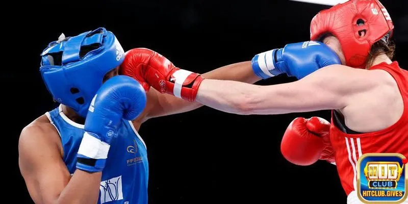 Kèo cược chất lượng dành riêng cho bộ môn đấm bốc